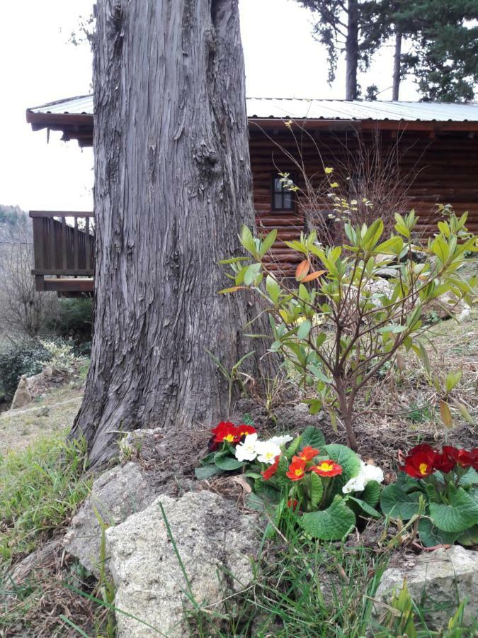 Cerro Cumbrecita Villa La Cumbrecita Buitenkant foto